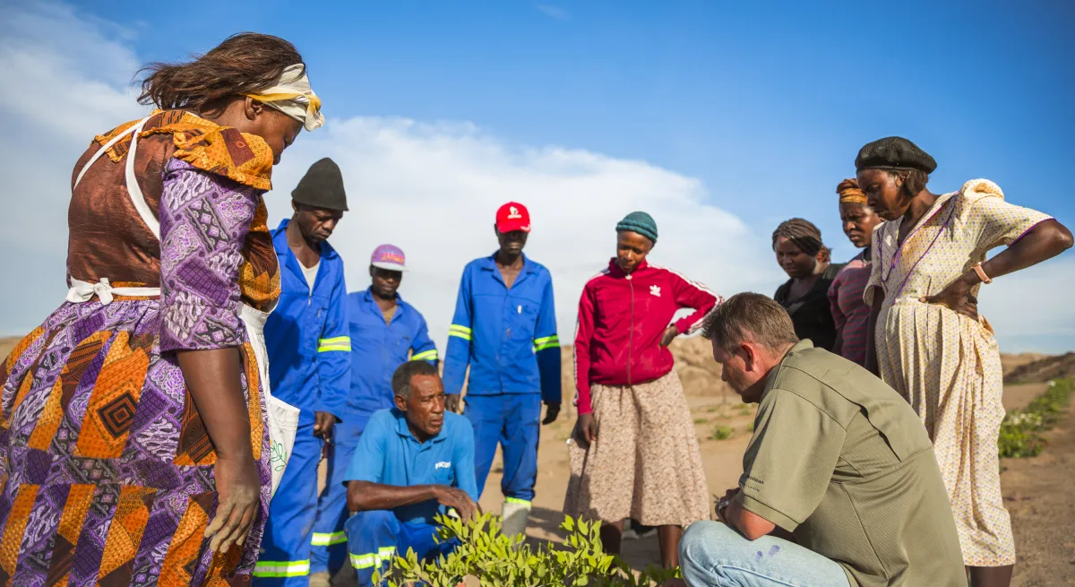 Jojoba for Namibia_patrizia_4